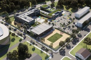 dsbu - school scoala noua