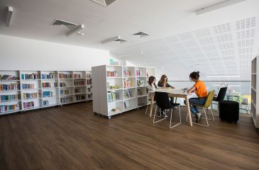 biblioteca noua - dsbu